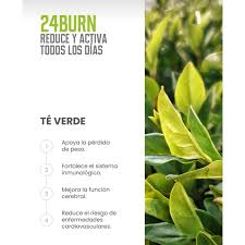 24 Burn, Reduce y activa todos los días