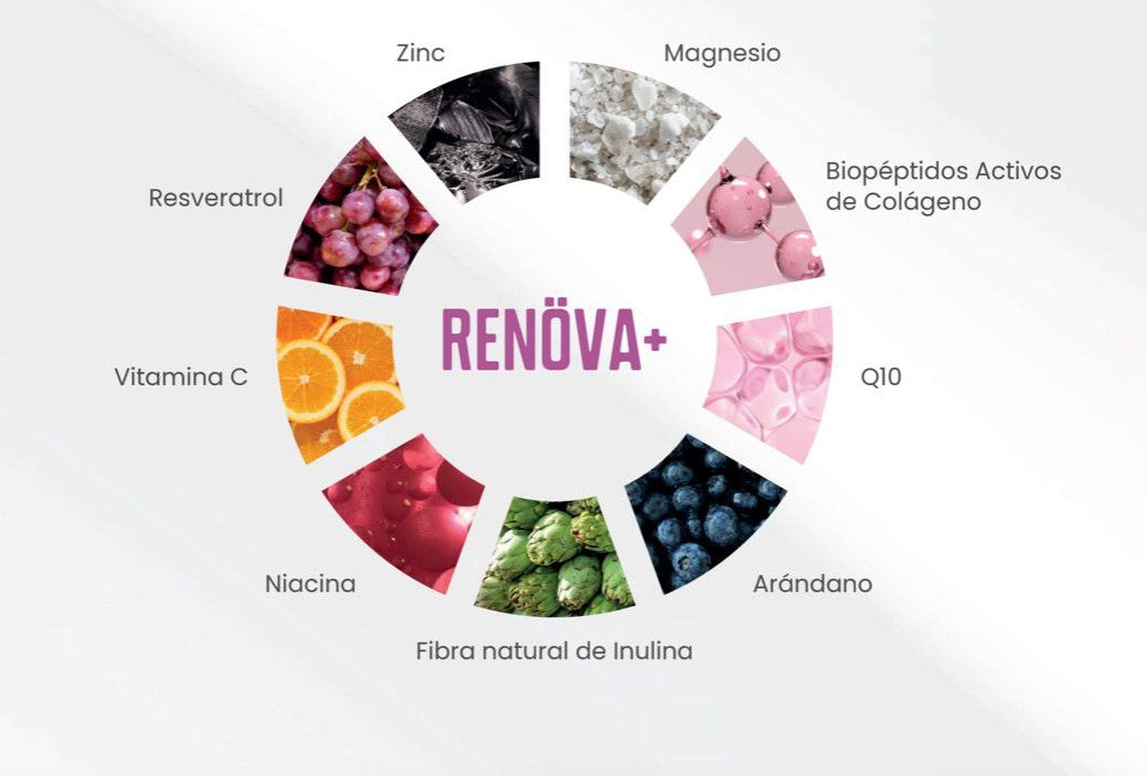 Renova+ Colágeno Hidrolizado Con Vitamina C, Magnesio Y Zinc